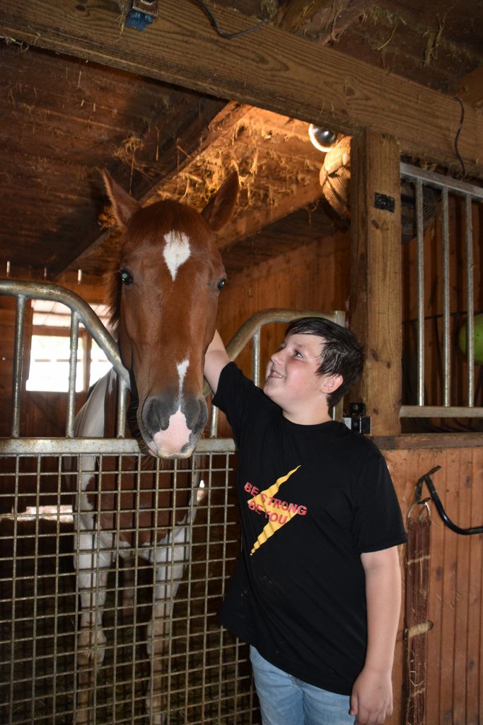 mimosa farm 2019 105 (683x1024).jpg